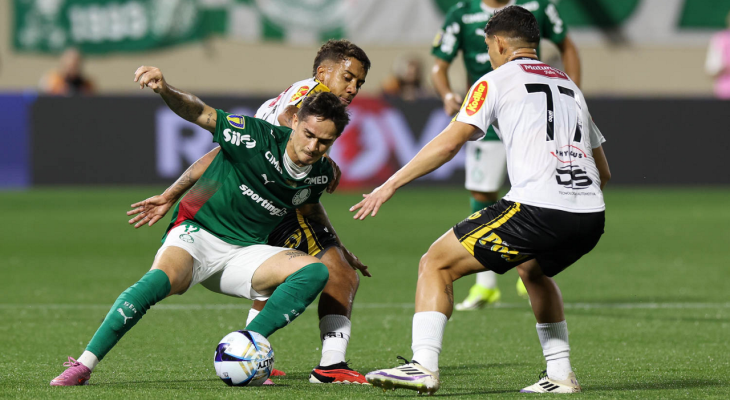 Final eletrizante: Novorizontino e Palmeiras disputam o título paulista